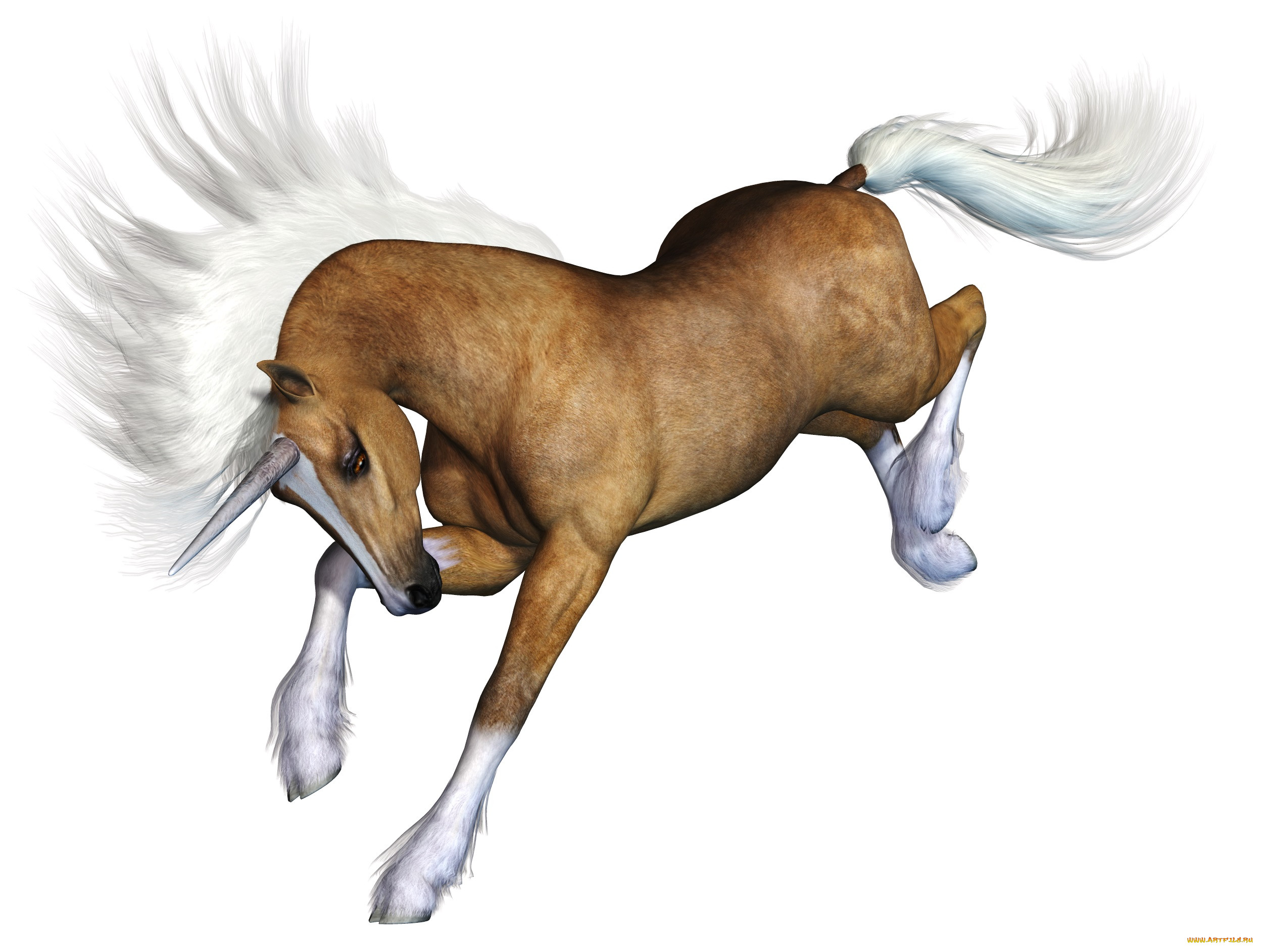 3 ,  , animals, , 